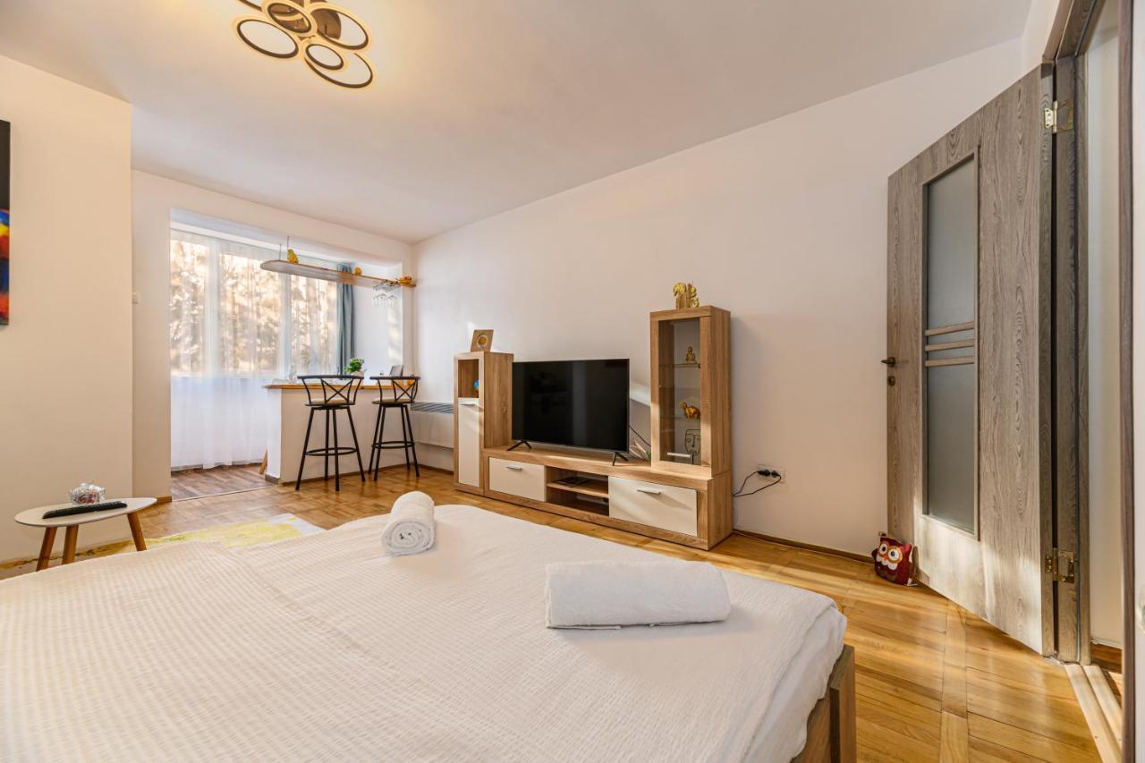 Jad - Family - Apartments & Studios Μπρασόβ Εξωτερικό φωτογραφία